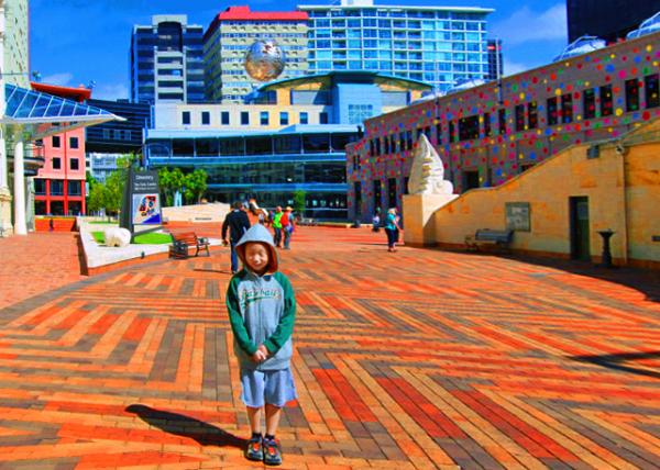 28_12-24-09_ Neil Dawson's Ferns Sculpture Suspended @ Civic Square ����������㳡�ϵ��������ɭާ�����0001.JPG