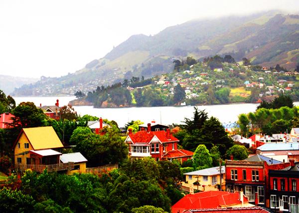 02_12-26-09_ Otago Peninsula, a Long, Hilly Indented Finger of Land that Forming the Easternmost Part of Dunedin.jpg