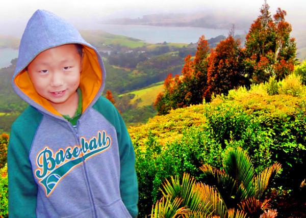05_12-26-09_ Overview of Otago Peninsula from South Seas Garden @ Larnach Castle �W�����u-10001.jpg