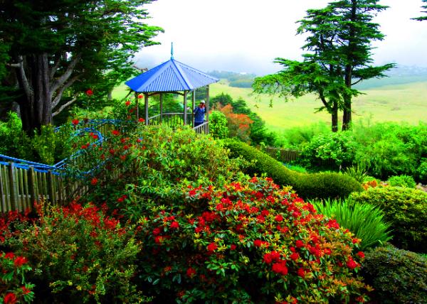 06_12-26-09_ Terraced Garden.jpg