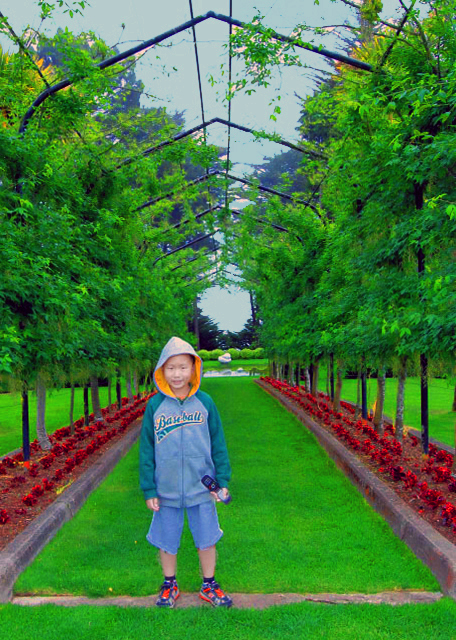 08_12-26-09_ Pergola ���ټ�0001.JPG