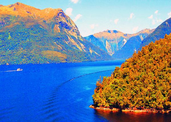 18_12-27-09_ Milford Sound_Sinbad Gully ���ʹ�Ϫ��-30001.JPG