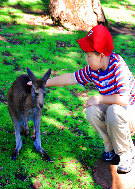 1782513787870882.jpg 08_12-30-09_ Wildlife Park_Kangaroo in Its Native Grassland Habitat 袋鼠栖息在原生草原地带-30001.JPG