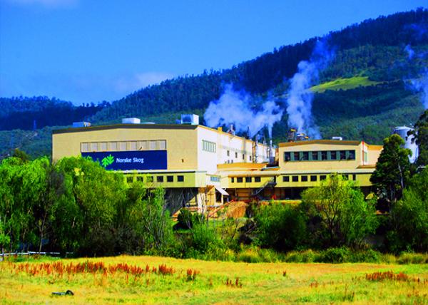 32_12-30-09_ Norske Skog, a Norwegian Pulp & Paper Company Established in 1962.jpg