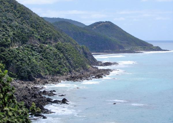23_01-07-10_ Great Otway National Park w Beautiful Ancient Rainforests, Cascading Waterfalls, & Diverse Wildlife0001.jpg