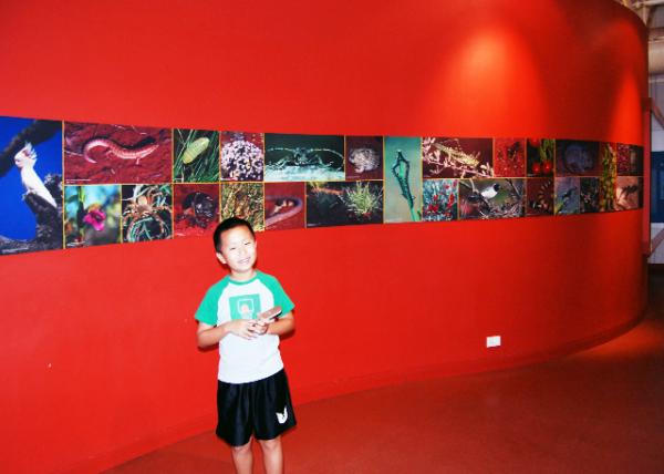 11_01-09-10_ Alice Springs Desert Park.jpg