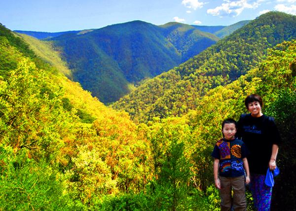 01_01-11-10_Blue Mtns NP_Jamison Valley w Deep Sandstone Cliffs & Eucalyptus Forests-10001.jpg