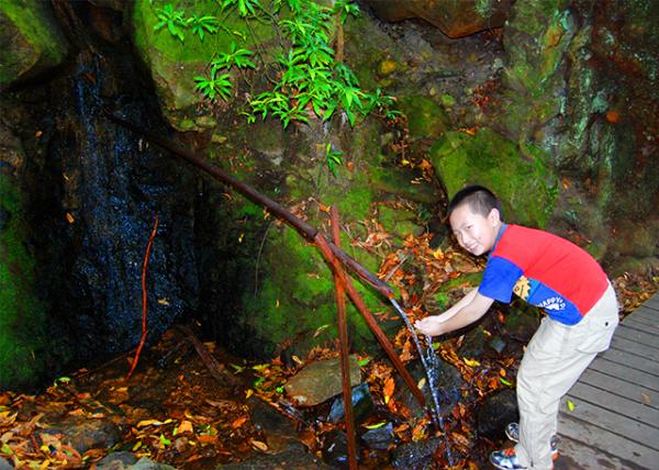 08_01-11-10_ Natural Springs.jpg