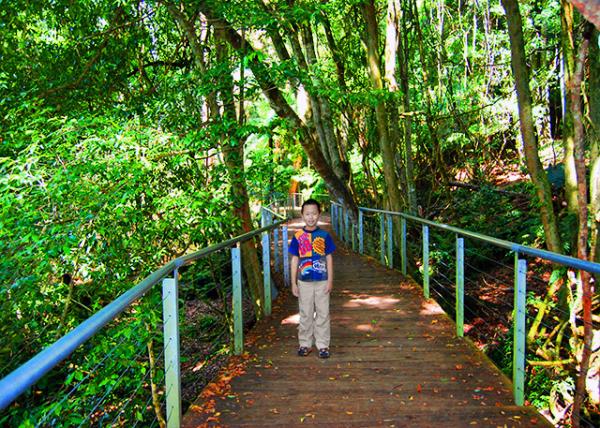 10_01-11-10_ Scenic Walkway0001.JPG