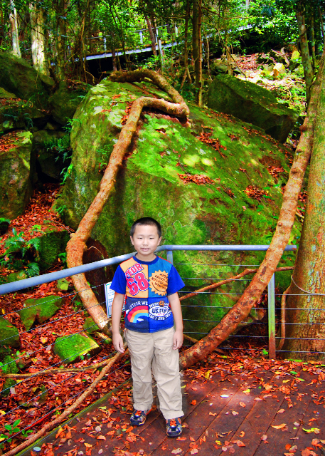 14_01-11-10_ Tree Root Rock.jpg