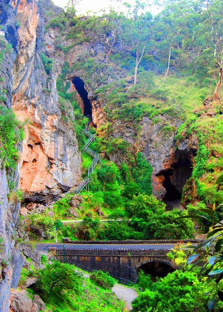 21_01-11-10_ Jenolan Caves w Limestone Geology0001.JPG