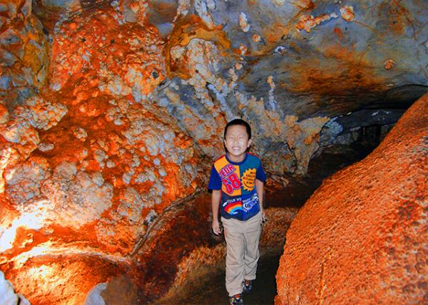 23_01-11-10_ Jenolan Caves_Dissolution-Sculpted Limestone Cave Wall.jpg