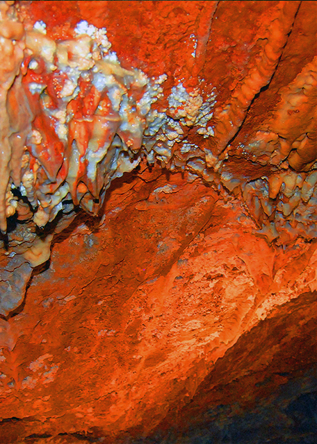 34_01-11-10_ Helictites Doing Mad Shenanigans.jpg