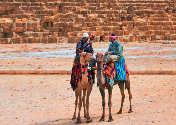 12_04-05-11_ Giza Camels, the Ships of the Desert in the Shadows of the Pyramids0001.JPG