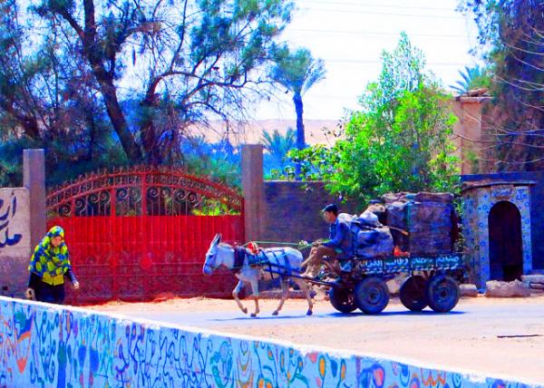 01_04-05-11_ Donkey & Cart, A Traditional Mode of Transport for Nile Farmers ë¿�����������޺�ũ��ͳ��ͨ����0001.JPG