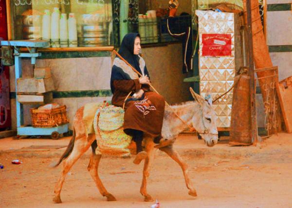 03_04-05-11_ A Burqa-Clad Woman on a Donkey.JPG