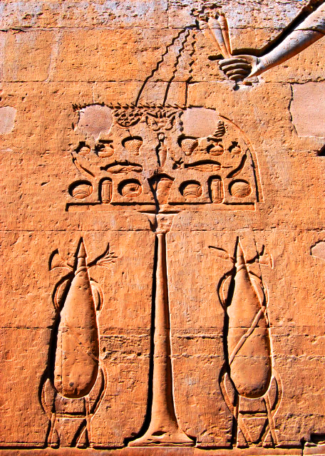 27_04-07-11_ Cartouche Ptolemy XII ������ʮ�����һ���-30001.JPG