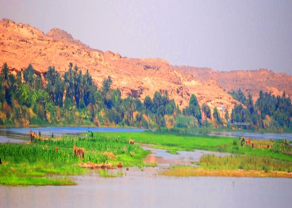 14_04-07-11_ Dairy Farming in the Nile Delta ���޺���������ţ��ֳ-60001.JPG