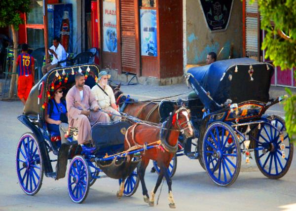21_04-07-11_ Horse-drawn Carriage Corniche or Nile River Promenade, Kom Ombo �ӱ�����0001.JPG