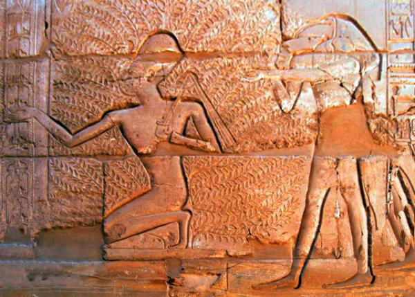32_04-09-11_ Hieroglyphics ��������-30001.JPG