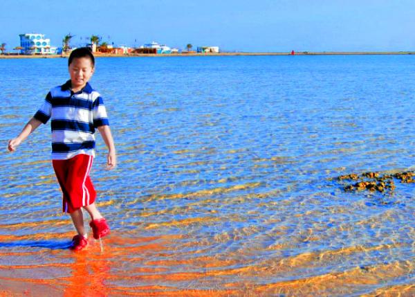 07_04-10-11_ Pebble Beach of Red Sea_ Hurghada �캣����ʯ��̲-30001.JPG