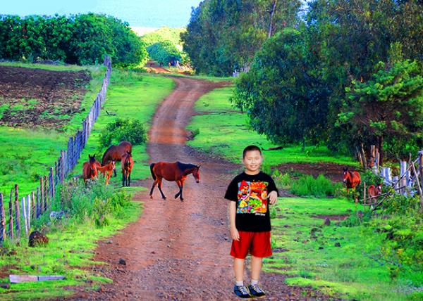 03_12-16-12_ Easter Island_More Horses than People ����ڵ��������˶�-80001.JPG