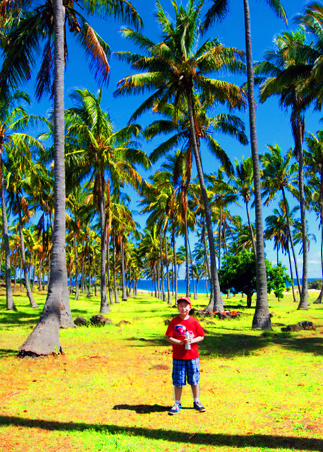 1783120829361480.jpg 31_12-17-12_ Anakena Beach_Palm Grove 棕榈林-100001.JPG