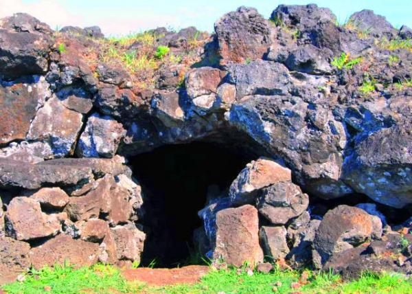 28_12-18-12_ Ana Te Pahu, Large Lava Tubes w with An Overgrown Garden of Sweet Potatoes, Taro and Bananas ����ɽ���������ҵ��ﳤ���˺�������ͷ���㽶�Ļ�԰-30001.JPG