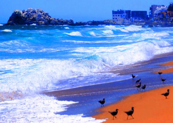 05_12-21-12_ Reñaca Beach in Vina Del Mar_Roca Oceanica NP �����ҹ��ҹ�԰-20001.JPG