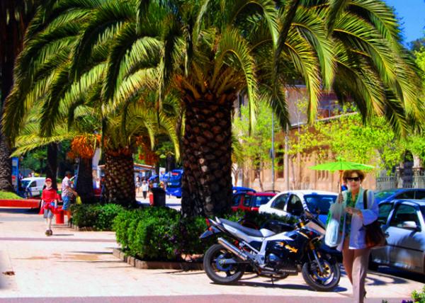 23_12-21-12_ Plaza Parroquia in Vina Del Mar �����㳡-10001.JPG