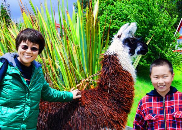 11_12-24-12_ Fundo Olguita_Llamas �����0001.jpg
