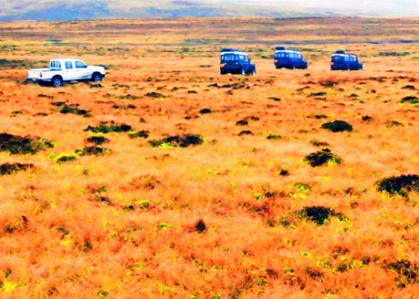 13_12-30-12_ Peat Bogs_Murrell Farm ���׶�ũ��-10001.JPG