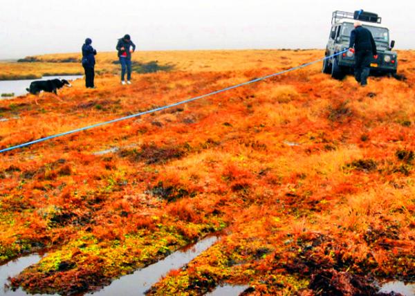 15_12-30-12_ Peat Bogs_SUV Stuck �˶��Ͷ���;����������̿����.JPG