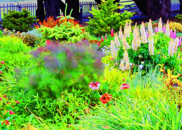 34_12-30-12_ Flower Garden0001.JPG