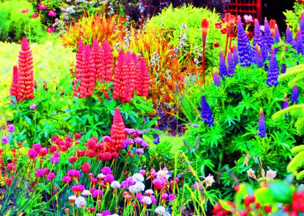 35_12-30-12_ Fox Gloves ë�ػ�-20001.JPG