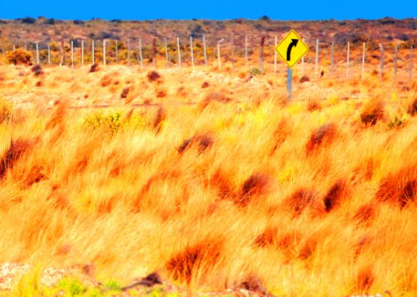 08_01-01-13_ Estancia La Adela ������������-10001.JPG