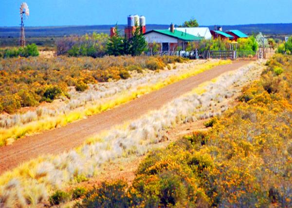 01-01-13_ Estancia San Lorenzo in Valdes Peninsula �߶���˹�뵺��ʥ����������-10001.JPG