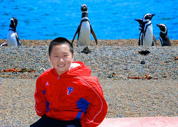 18_01-01-13_ Magallenic Penguins on Playa Larralde �����º�̲����������� -30001.jpg