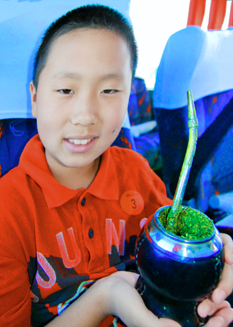 1783382482254750.jpg 01_01-03-13_ Yerba Mate0001.JPG