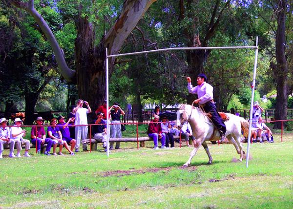 16_01-04-13_ Argentine Estancia_Horsemanship Demo-1.jpg
