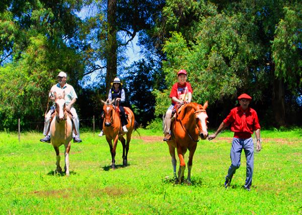 19_01-04-13_ Argetine Estancia_Horse Ride ����-20001.jpg