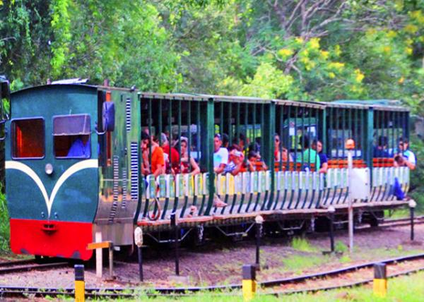 07_01-06-13_ Green Train of the Jungle ������ɫ��0001.JPG