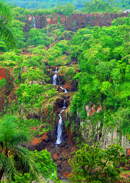 1783562841617701.jpg 24_01-07-13_ Waterfalls Flowing through Rainforest.jpg