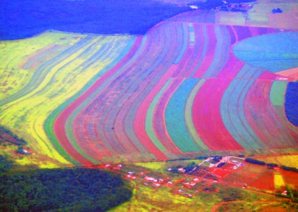 14_01-09-13_ Cropland Bordering Rainforest �ȴ����ָ�����ũ��-30001.JPG