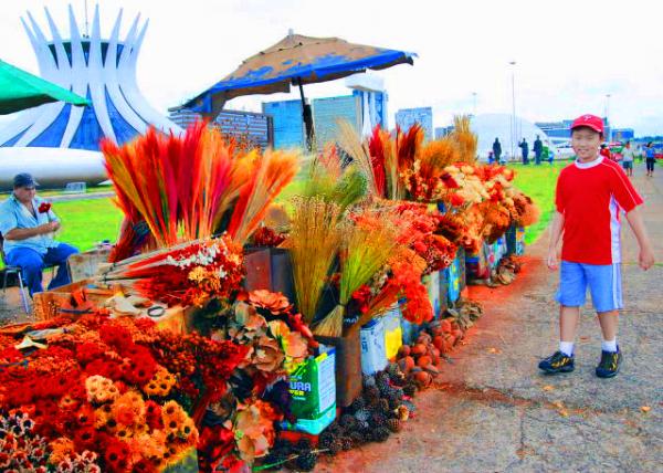 48_01-09-13_ Dried Flower Market �ɻ�����0001.JPG