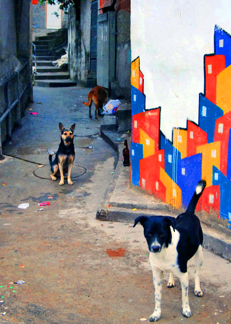 1783717443777284.jpg 29_01-11-13_ Santa Marta Favela_Squatter Street 寮屋街道-150001.JPG