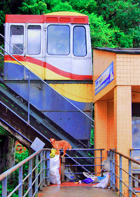 1783717601623005.jpg 34_01-11-13_ Tram @ Santa Marta's Favela-10001.JPG