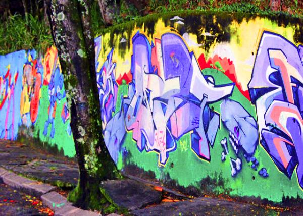 58_01-11-13_ Santa Teresa Street Art_Graffiti Ϳѻ-30001.JPG
