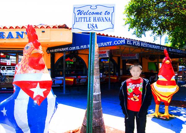 19_03-28-13_ Miami_Little Havana Roosters С�����ǹ�������10001.JPG