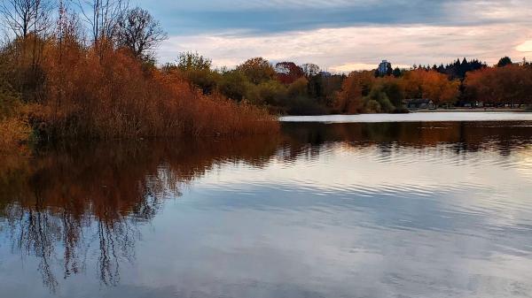 20251108_142146-EDIT.jpg